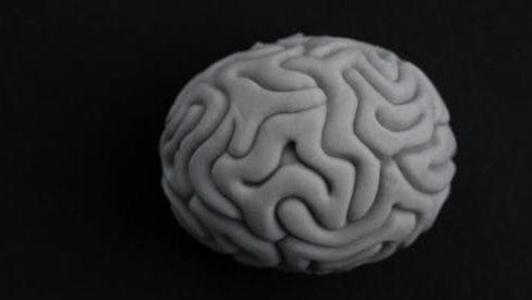 monochrome photo of a brain