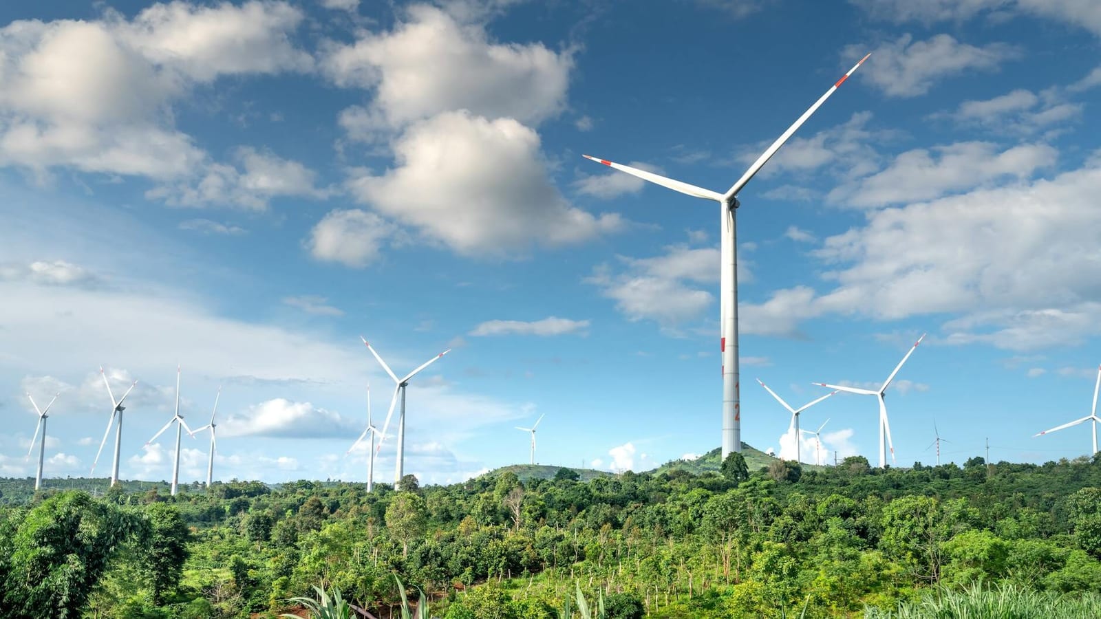 wind turbins in summer