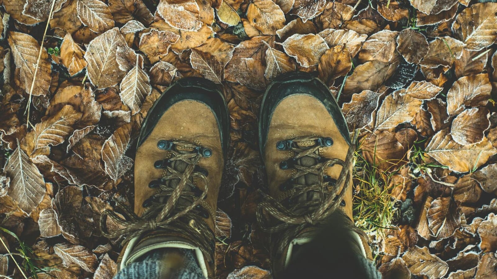 low section of man standing on autumn leaves